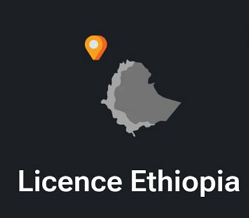 Card Licence Ethiopia in Hamster Kombat