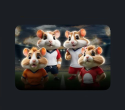 Card Quaterfinals are coming 2 in Hamster Kombat