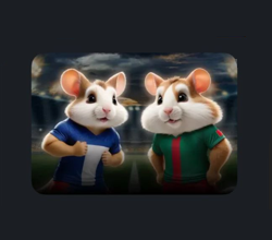 Card Quaterfinals are coming in Hamster Kombat